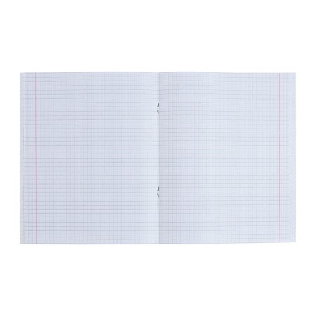 A set of notebooks of 4 pieces, 96 sheets in the Calligrata Cede cage, covered cardboard, offset block-1