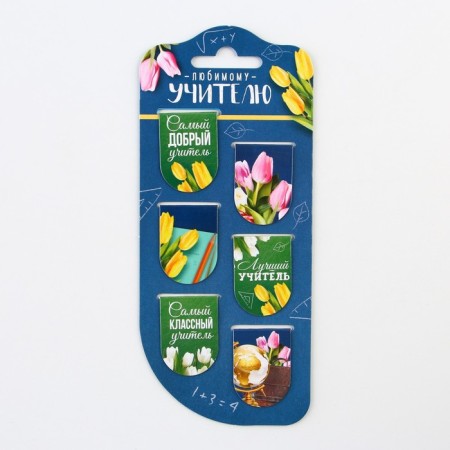 Magnetic bookmarks on the substrate "Beloved Teacher", 6 pcs.-6
