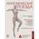Anatomical trains. 4th edition. Mayers T.