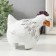 Souvenir Polystone "Funny cockerel. Surprise" 13x13x14 cm
