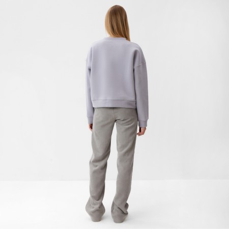 Female sweatshirt Minaku: Velvet Collection color light gray, size 44-3