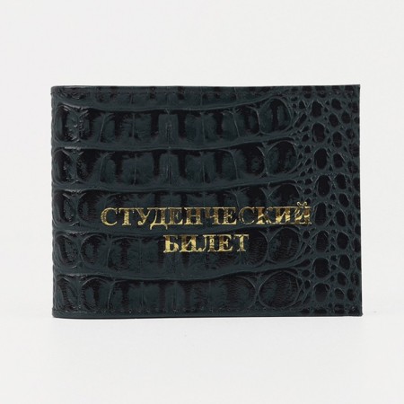 Cover for a student ticket, green color