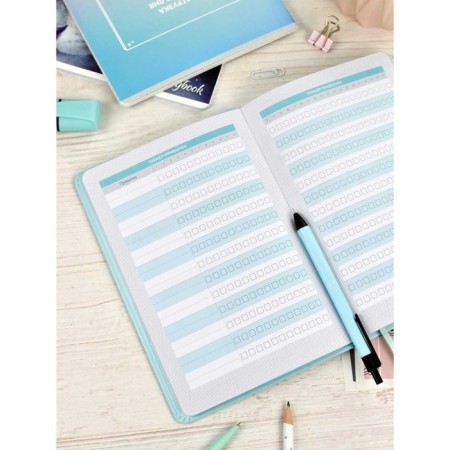 School School A5 80 sheets "Mint Ploste", firm cover of artificial leather, foil embroidery, lies, reference material, block 70 g/m2-8