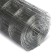 Glorious grid, welded, 10 × 0.5 m, cell 25 × 50 mm, D = 0.7 mm, GreenGo