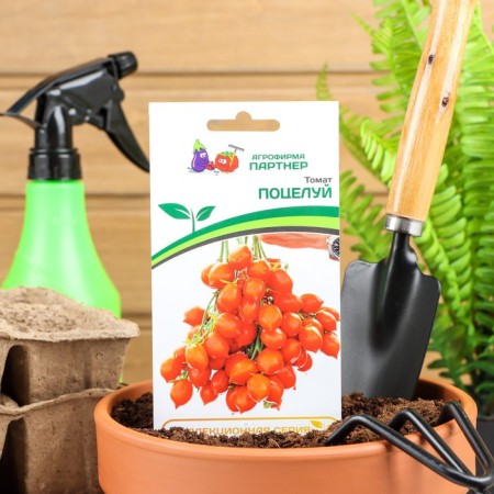 Semen Tomat "Kiss", 10 pcs