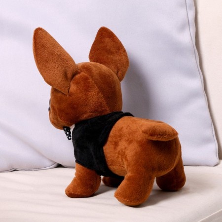 Soft toy "Chihuahua Robi" in clothes, 20 cm-2