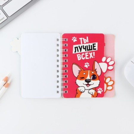 Notepad with A7 separator, 40 liters "March 8, Corgi"-4