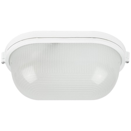 Lamp ERA NBP 04-100-001, E27, 100W, 280x160x108 mm, IP54-1