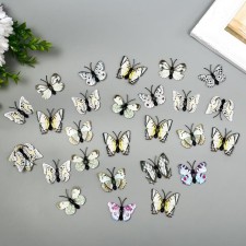 Magnet Plastic 