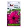 Flowers of Petunia "Secret", F1, ampel, purple, 5 pcs