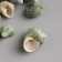 Set of decorative snails 150 grams