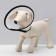 Veterinary collar (set of 7 sizes), black