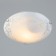 The lamp is wall-flowing "Cheremsha" 1x60W E27 d.25cm.