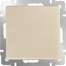 Single-valve switch WL11-SW-1G, Shampan