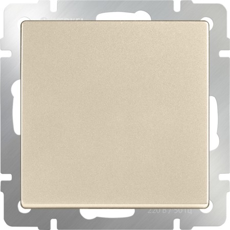 Single-valve switch WL11-SW-1G, Shampan