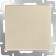 Single-valve switch WL11-SW-1G, Shampan