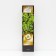 Currant Black (green -fruited) "Emerald Necklace", 1 pc, tube, spring 2025