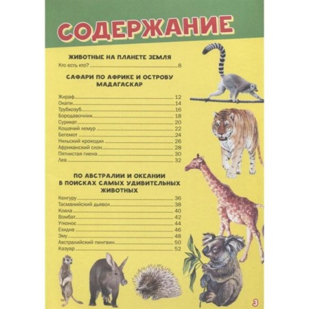 My first big book about animals-1