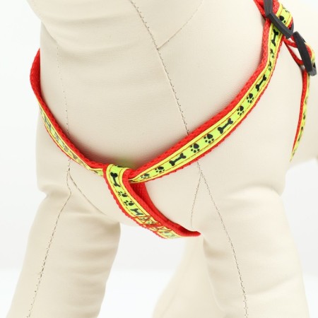 The “Bones and Paws” set of a reflective, leash 120 x 1.5 cm, OG 36-52 cm, red-2
