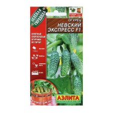Seeds of cucumber 