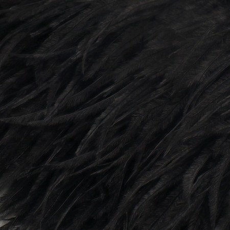 Braid with ostrich feathers, 8-10 cm, 5 ± 0.5 m, black color-1