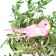 A bird for decoration and floristry, on a clothespin, mix, plastic, 1 pc., 8 x 8 cm