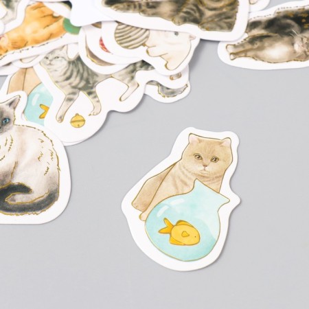 Stickers for the creativity of the "cat breed" embossing gold set 48 pcs 9x7x0.8 cm-2