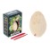 Set of archaeologist "Tyranosaurus", the series "Peter's egg of the dinosaurus"