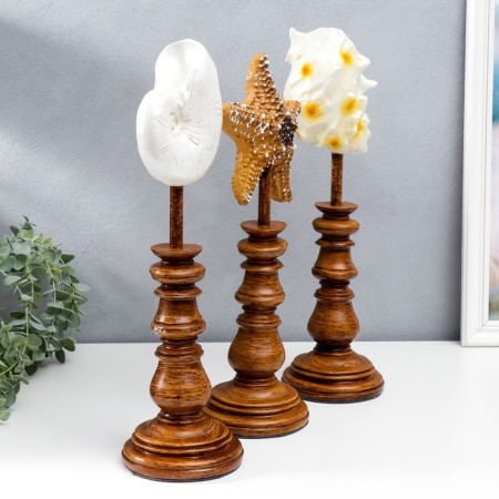 Souvenir interior polystone "shell" set 3 pcs 41x12x17 cm-1
