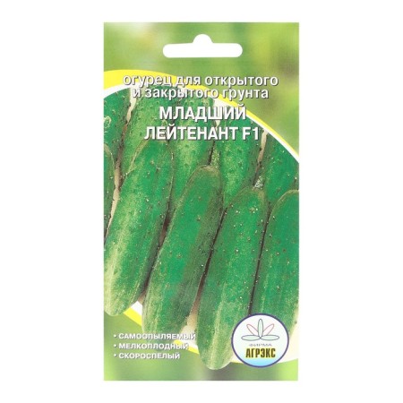 Seeds of cucumber "Junior Lieutenant", 10 pcs-3