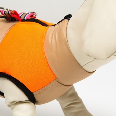 Lightning dog jacket, size 12 (ds 28 cm, OG 38 cm, Osh 27 cm), beige with orange-5
