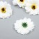 A bud on the leg for decorating "Chrysanthemum-bromachus White" d = 5 cm