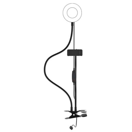 Ritmix RRL-091, 9CM, USB, 3 colors, 24 LEDs, clothespin, remote control, holder