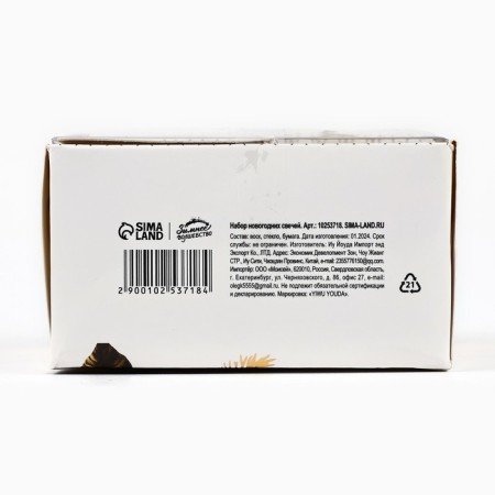 Set of New Year's New Year suppositories "New Year: 2025", 11 x 5.6 x 9.8 cm-5