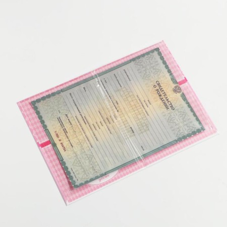 Folder for birth certificate "Bant", for a girl, a5-3