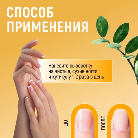Nail and chuckles, nutritious serum, 25 ml, with a pipette-1