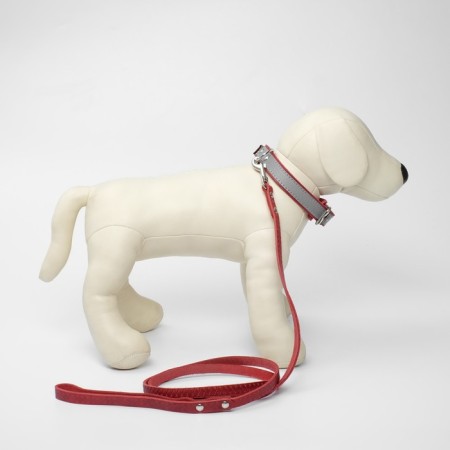 Set of collar (34-45x2 cm) reflective and leash (130x1 cm), red-3