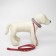 Set of collar (34-45x2 cm) reflective and leash (130x1 cm), red