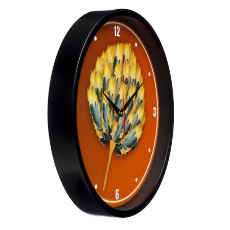 Watch wall "feathers", d-30 cm, smooth move-1