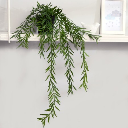 Bonsai "Iva purple" plant 50 cm (pot H-8, D-8.5 cm) mix-2