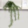 Bonsai "Iva purple" plant 50 cm (pot H-8, D-8.5 cm) mix