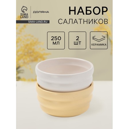 Saladniki Dolyana "Zephyr", 250 ml, d = 11 cm, set 2 pcs, ceramics, white, yellow