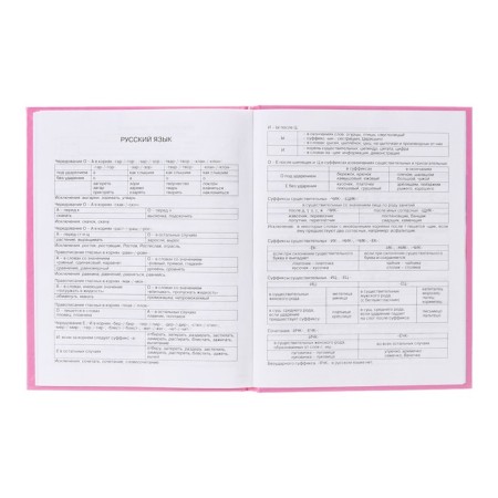 Diary 5-11 class Cat, 48 sheets, solid cover, glossy lamination, foil embossing, offset block-10