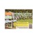 Photo Banner, 300 × 160 cm, with photo printing, eyelets step 1 m, "hydrangea", Greengo