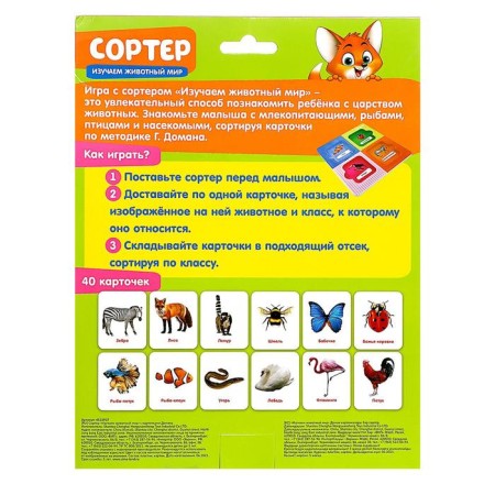 Sorter "Study the Animal World" with Doman's cards-4