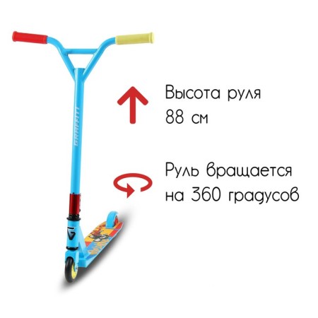 Self-Capat-Cat 2 in 1 Graffiti, Tryukova-2