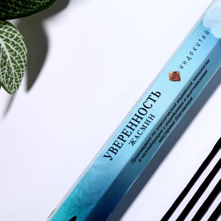 Incense "confidence", 20 sticks in packaging, hexagon-1