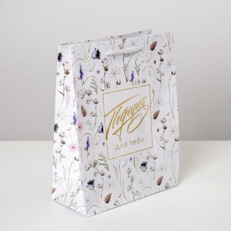 Gift package laminated, packaging, Gift for You, MS 18 x 23 x 8 cm