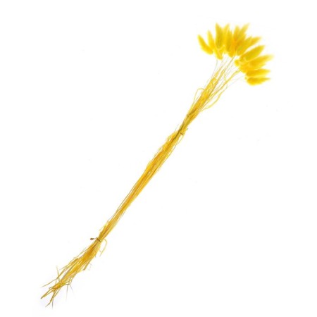 Sukhotzet "Lagurus", set of 30 pcs., Yellow color-2