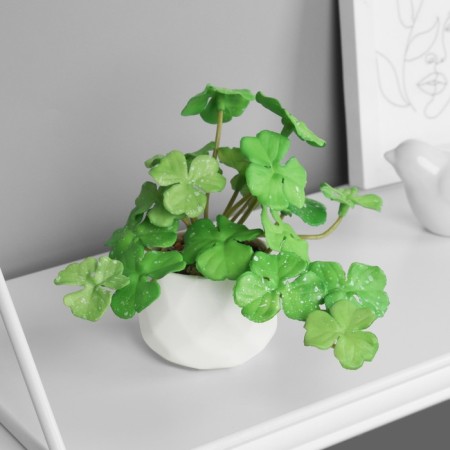 Bonsai in the pot "Painting Pelargonium Lux" (soft sheet) 9x6 cm, mix-2